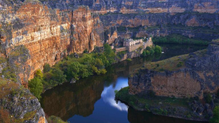 From Ashes to Memories: How Pet Crematories Honor the Lives of Our Furry Companions