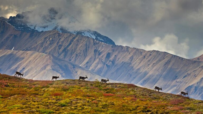 The Capricorn’s Guide to Reaching Career Success and Stability
