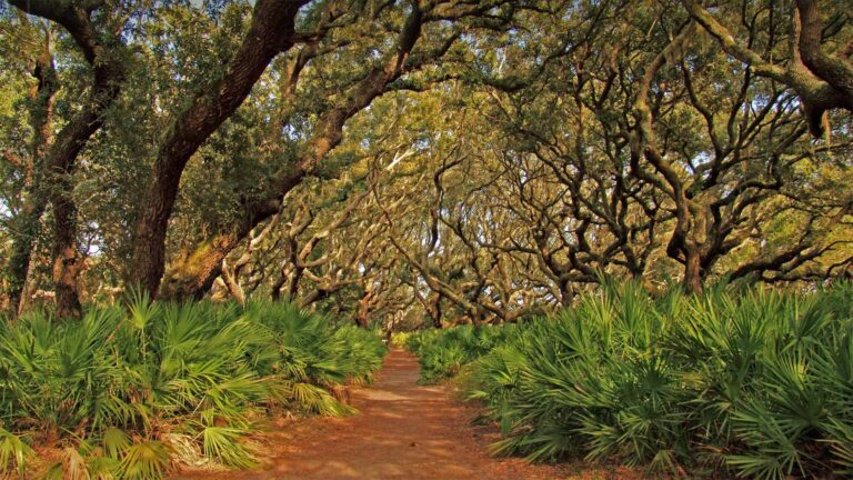 Eswatini’s Investment in Incinerator Technology: A Game-changer for the Environment