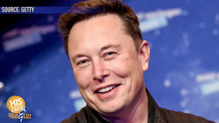 Elon Musk Humanoid