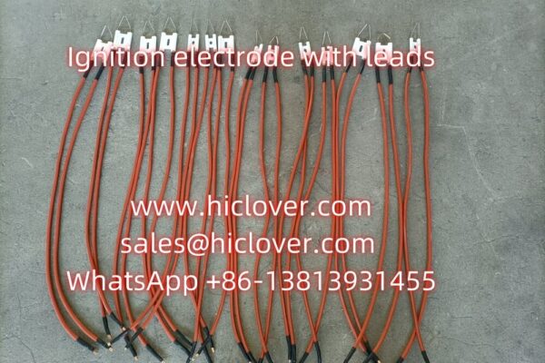 Ignition electrode with 2 leads