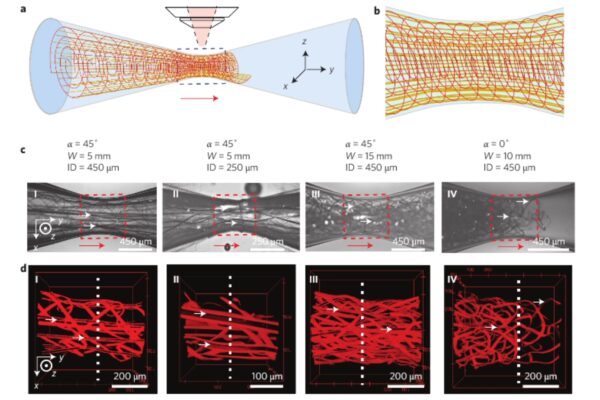 Elon Musk’s NEURAL LACE Brain Chip