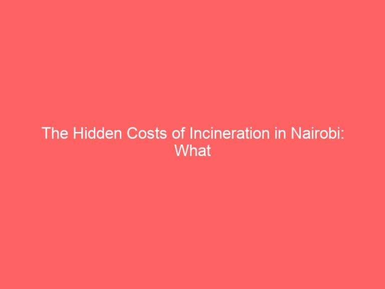 The Hidden Costs of Incineration in Nairobi: What You Need to Know-cost of incenerator in nairobi