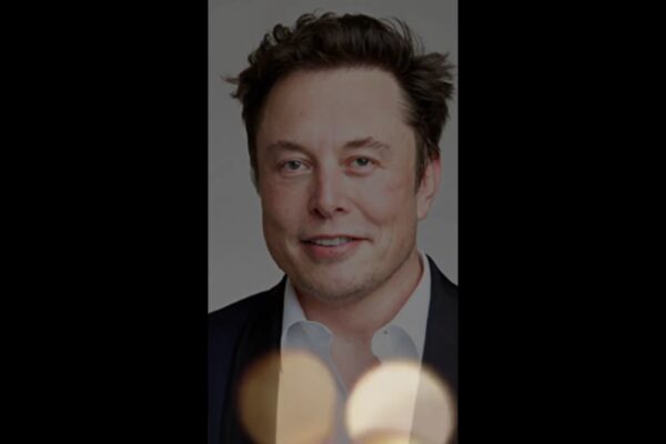 Elon musk status