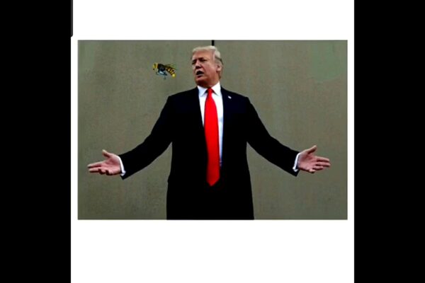 Trump hornets