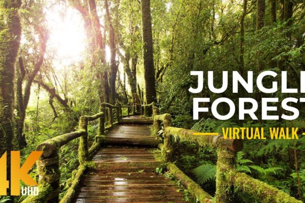 4K Nature Treasures of Hawaii Botanical Garden – Jungle Forest Cinematic Virtual Walk (Slow Motion)