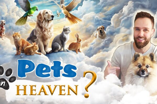 Will PETS go to HEAVEN? || WHAT the BIBLE SAYS about ANIMALS in HEAVEN