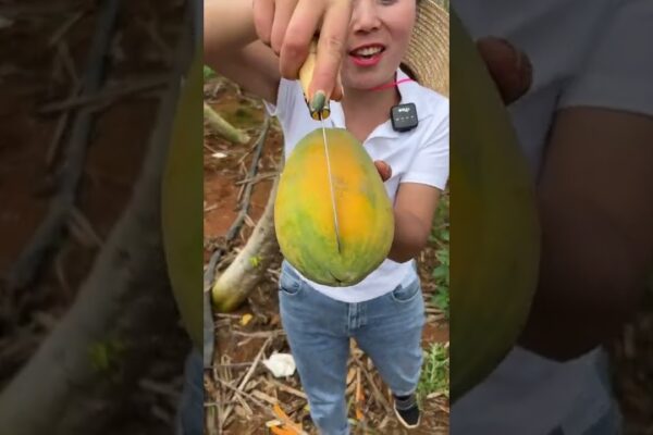 Beautiful Nature – Inspur Fresh Fruit wonderful video of Industry #2217
