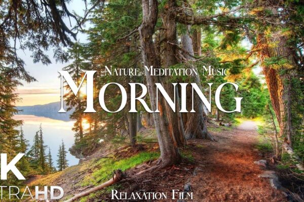 Morning Nature – Relaxation Film – Peaceful Relaxing Music – 4k Video UltraHD