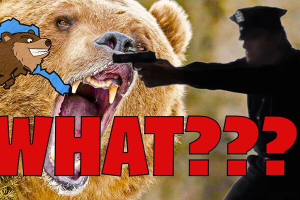 Firearms and Hollow Points that Law Enforcement Use in Alaska to Take Large Game