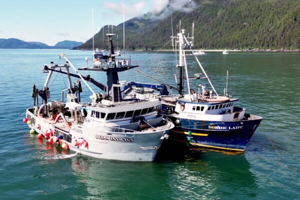 Intro to Commercial Fishing in Alaska