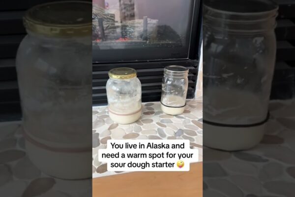 Sourdough Starter in Alaska 🥖 #shorts