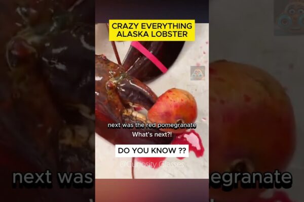 CRAZY EVERYTHING – ALASKA LOBSTER #curiosityglasses #facts #shorts #didyouknow #funny