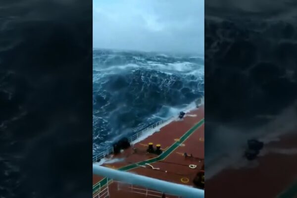 MENGERIKAN !!!! OMBAK DAN PAUS DI SAMUDRA PASIFIK
