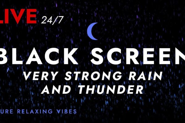 🔴 Sleep Fast with Pure Nature Rain and Incredible Present Thunder Sounds | Black Screen