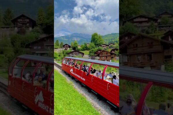 Vacations in Brienz Switzerland 🇨ðŸ‡#switzerland #shorts #nature #trains #travel
