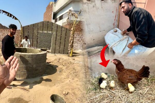 Mini Zoo Waps Agea Main Sab Pets Ko Dekh K Skoon Mil Geaπ