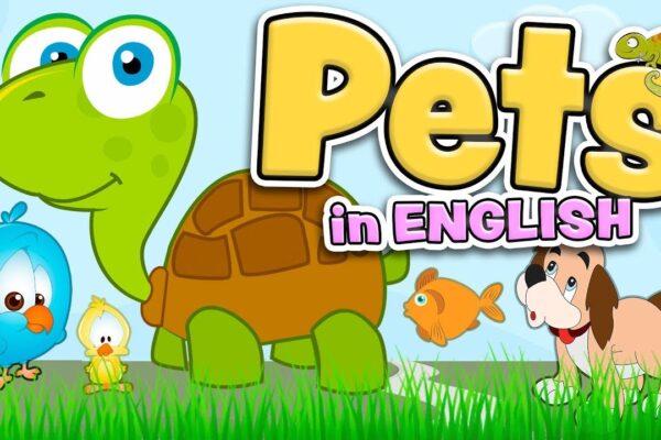 PETS in English for kids