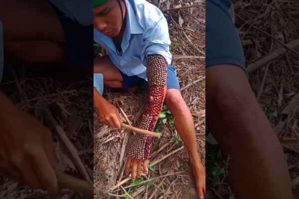 what is happening to him? #funny #omg #gameofthrones #nature #music #shorts