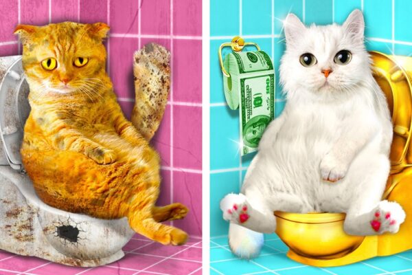 Must-Have GADGETS for your CAT! How to Sneak Pets from Parents by La La life Games