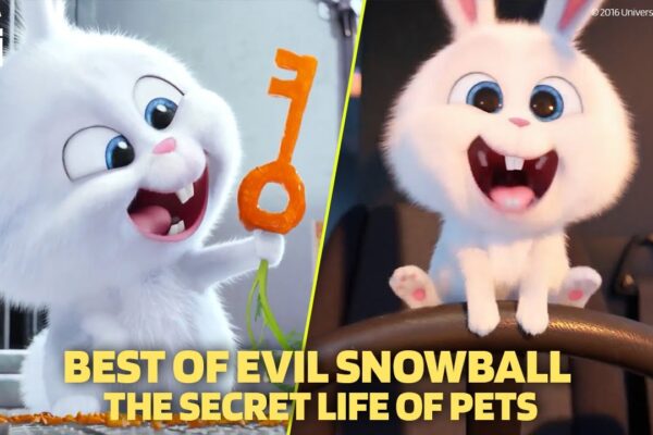 Best of Evil Snowball | The Secret Life of Pets | Cartoon For Kids