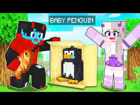 Helping A Lost Baby PENGUIN In Minecraft!
