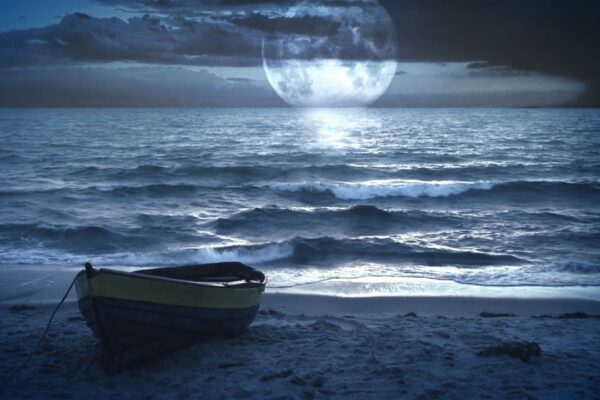 Ocean Sounds and Forest Nature Sound: Meditation, Sleep