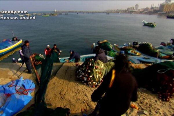 gaza live