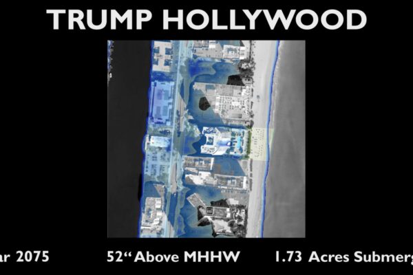 Trump Hollywood