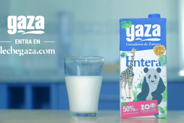 SPOT GAZA