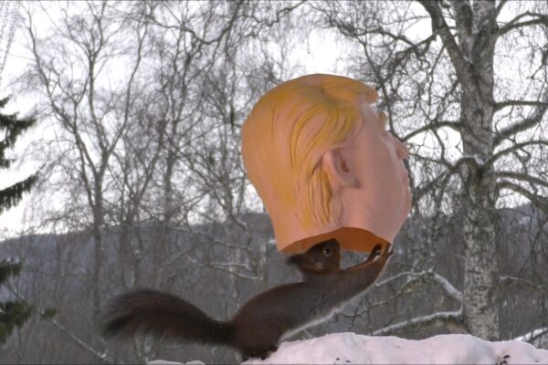 Trump the squirrel